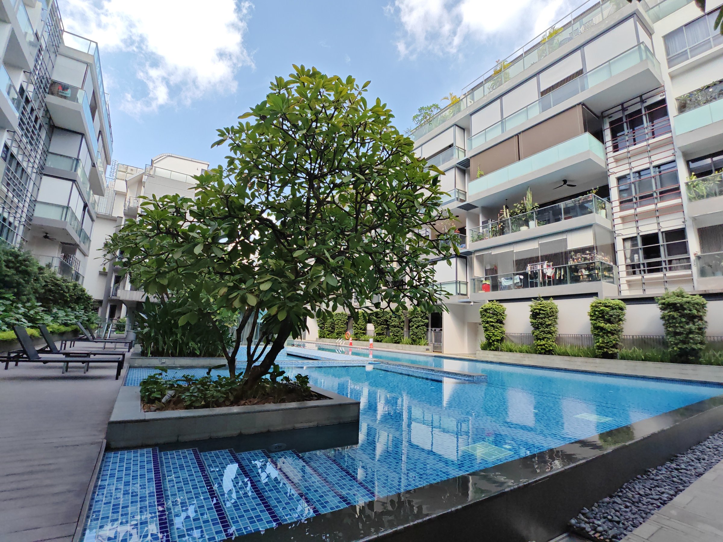 Terrene at Bukit Timah 公共区域 1