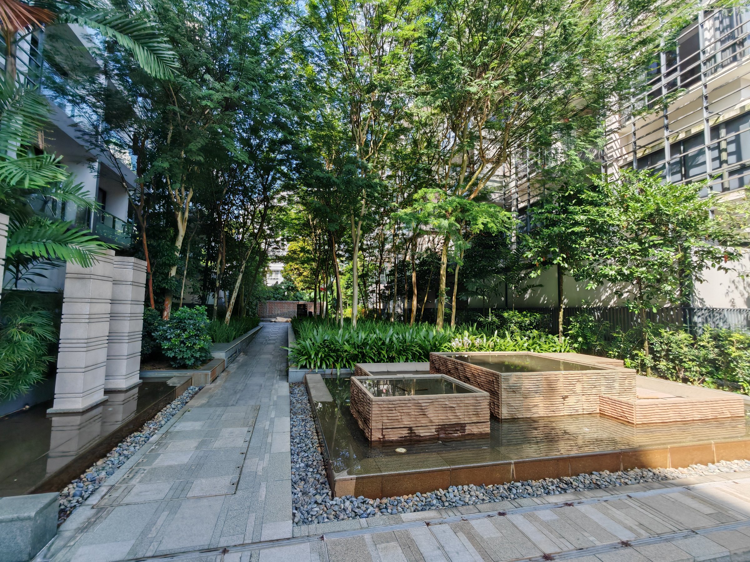 Terrene at Bukit Timah 公共区域 6