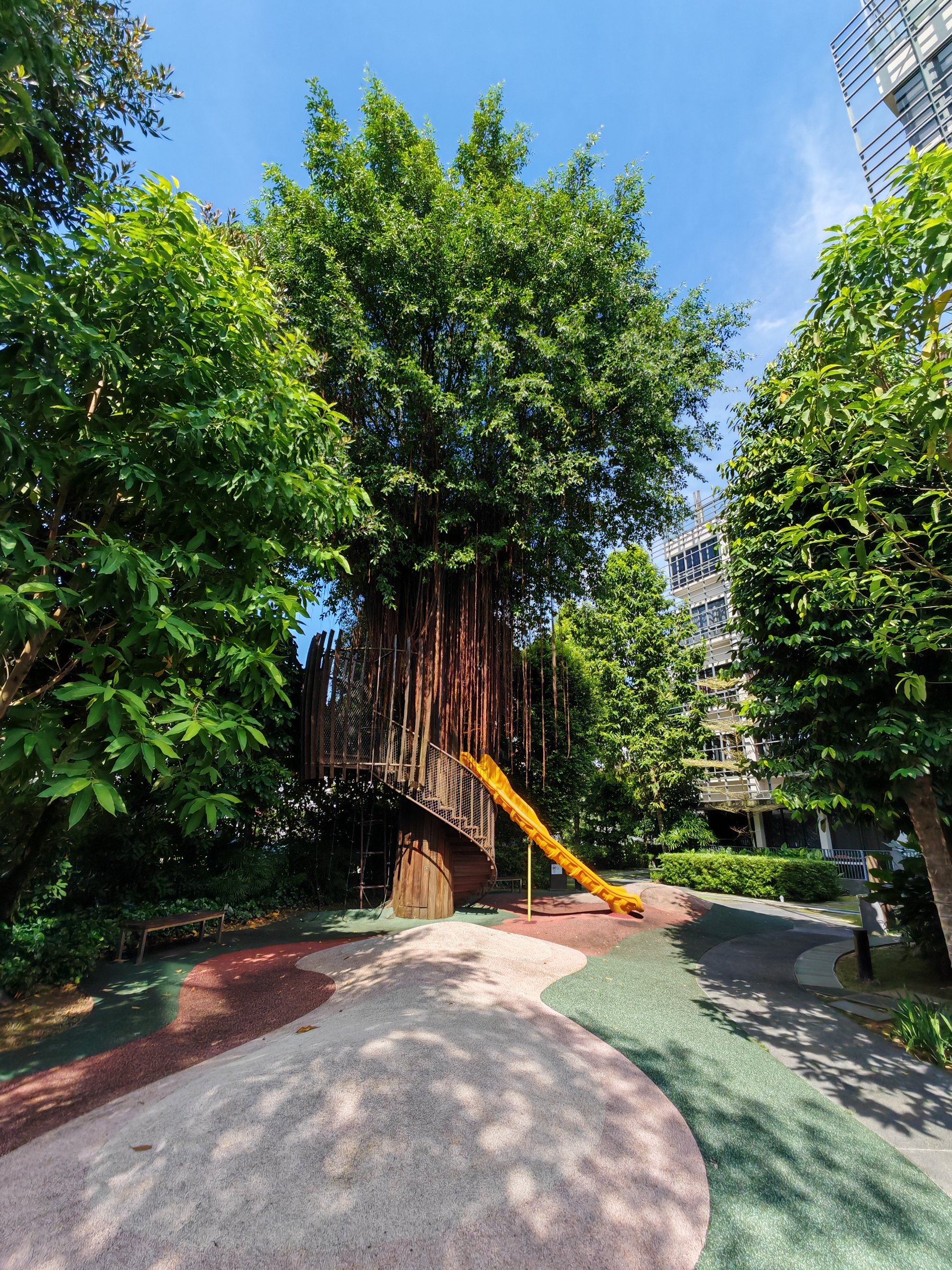 Terrene at Bukit Timah 公共区域 7