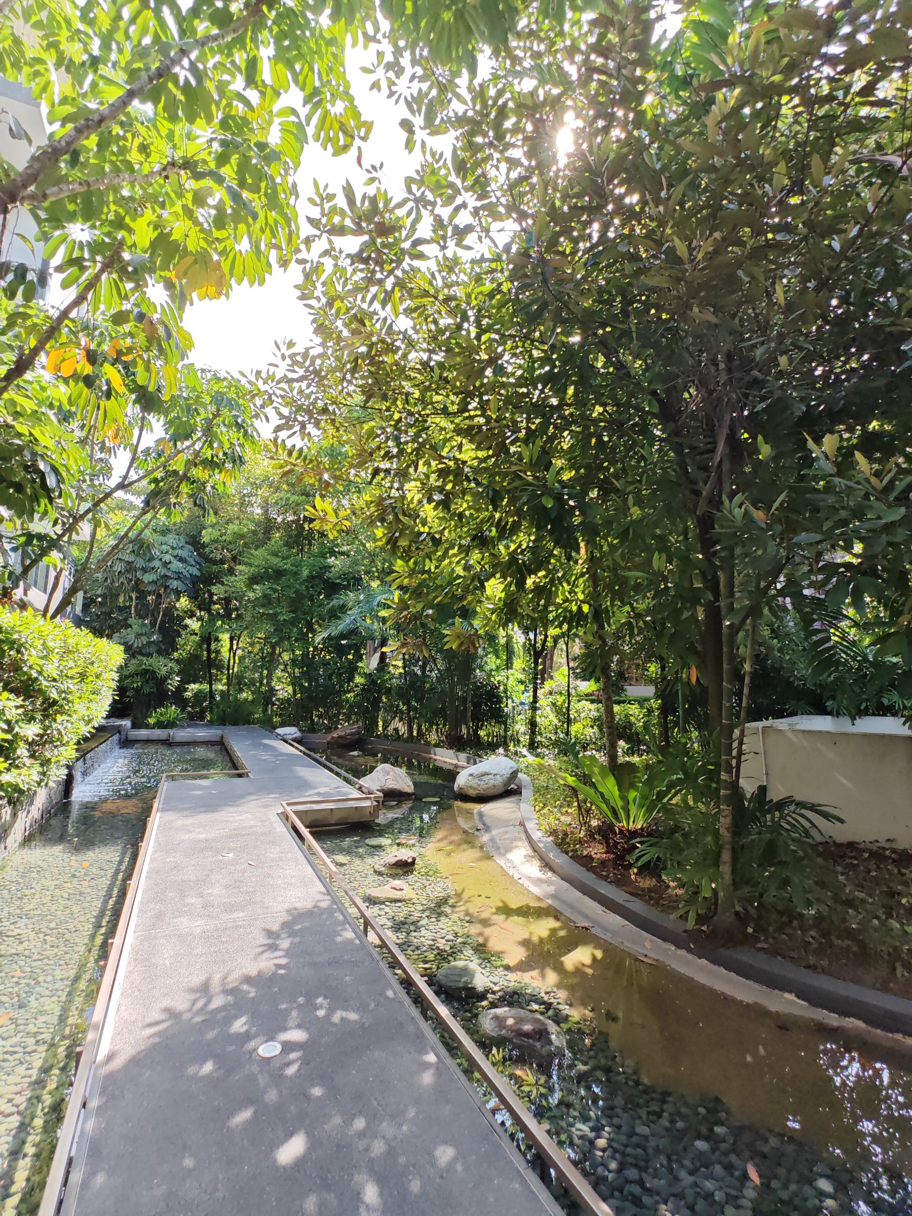 Terrene at Bukit Timah 公共区域 8