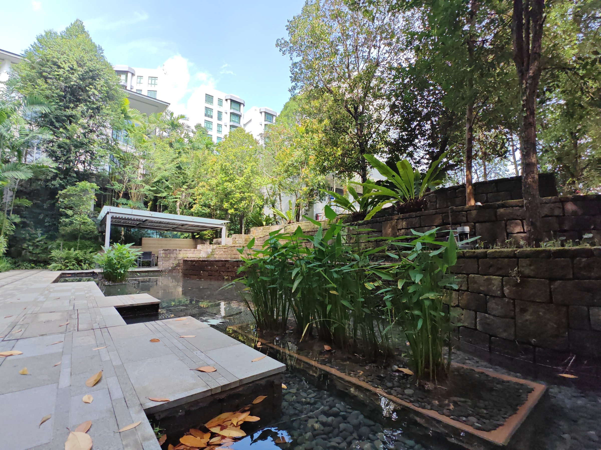 Terrene at Bukit Timah 公共区域 9